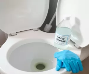 Jak Usunąć Kamień Z Toalety Octem